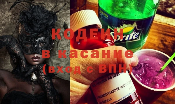 гидра Аркадак