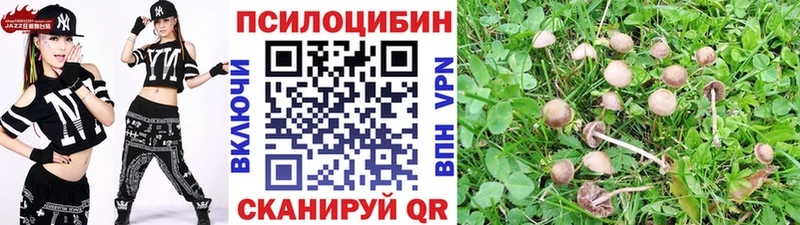 Псилоцибиновые грибы мицелий  наркотики  Бологое 